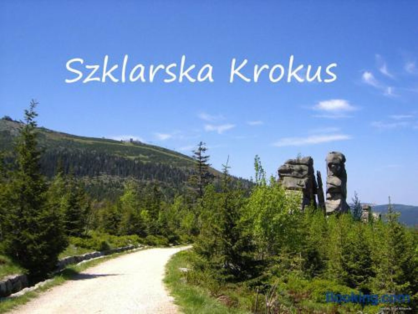 Szklarska Krokus
